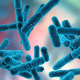 Probiotics and IBS