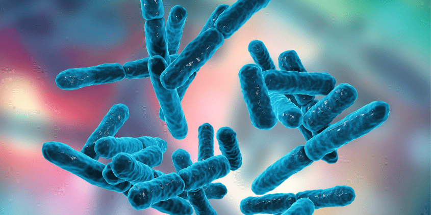 Probiotics and IBS