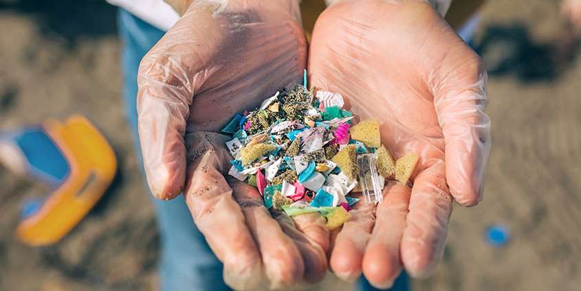 microplastics linked to IBD